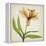 Parchment Flowers XI-Judy Stalus-Framed Stretched Canvas