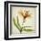 Parchment Flowers XI-Judy Stalus-Framed Art Print