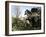 Parco Dei Monstri (Garden of the Monsters), Sacro Bosco, Bomarzo Gardens, Viterbo, Lazio, Italy-Oliviero Olivieri-Framed Photographic Print