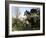 Parco Dei Monstri (Garden of the Monsters), Sacro Bosco, Bomarzo Gardens, Viterbo, Lazio, Italy-Oliviero Olivieri-Framed Photographic Print