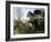 Parco Dei Monstri (Garden of the Monsters), Sacro Bosco, Bomarzo Gardens, Viterbo, Lazio, Italy-Oliviero Olivieri-Framed Photographic Print