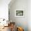 Parent with chick. Gentoo penguin on the Falkland Islands.-Martin Zwick-Framed Photographic Print displayed on a wall