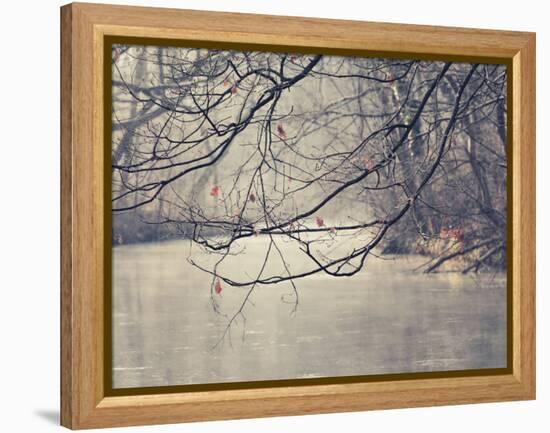 Parenthesis-Philippe Sainte-Laudy-Framed Premier Image Canvas