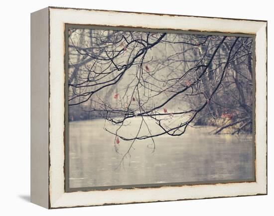 Parenthesis-Philippe Sainte-Laudy-Framed Premier Image Canvas