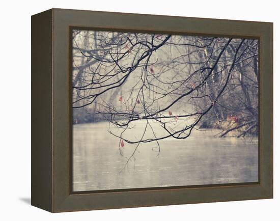 Parenthesis-Philippe Sainte-Laudy-Framed Premier Image Canvas