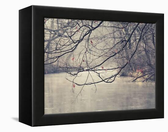 Parenthesis-Philippe Sainte-Laudy-Framed Premier Image Canvas