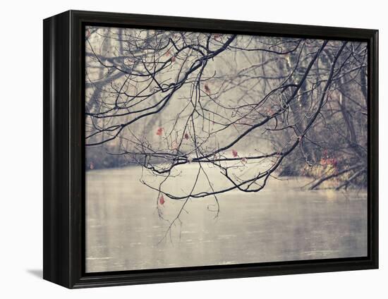 Parenthesis-Philippe Sainte-Laudy-Framed Premier Image Canvas