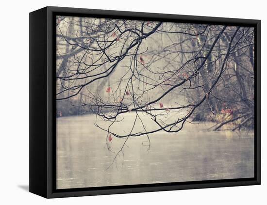 Parenthesis-Philippe Sainte-Laudy-Framed Premier Image Canvas