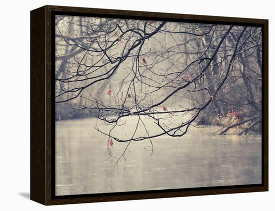 Parenthesis-Philippe Sainte-Laudy-Framed Premier Image Canvas