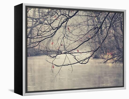 Parenthesis-Philippe Sainte-Laudy-Framed Premier Image Canvas