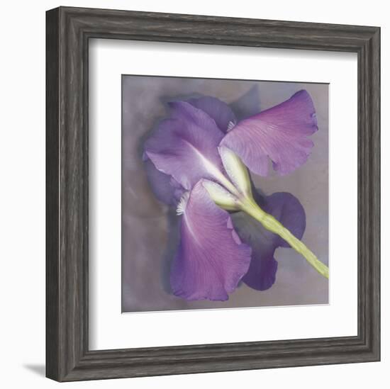 Parfum-Erin Clark-Framed Art Print