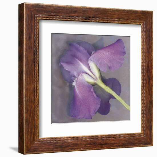 Parfum-Erin Clark-Framed Art Print