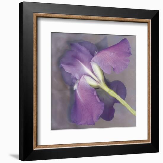 Parfum-Erin Clark-Framed Art Print