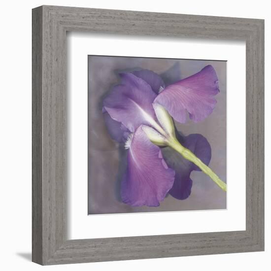 Parfum-Erin Clark-Framed Art Print