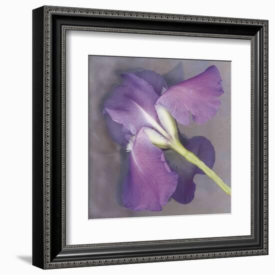 Parfum-Erin Clark-Framed Art Print