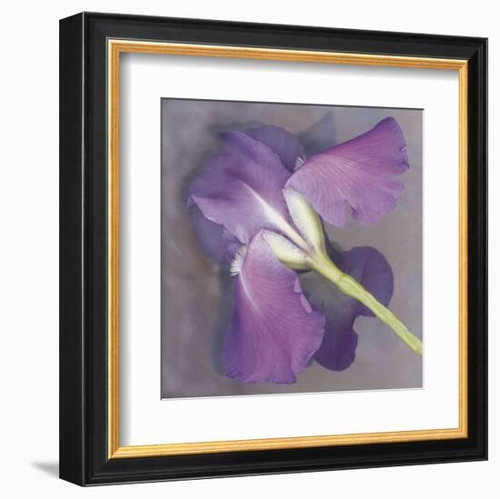 Parfum-Erin Clark-Framed Art Print