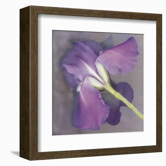 Parfum-Erin Clark-Framed Art Print