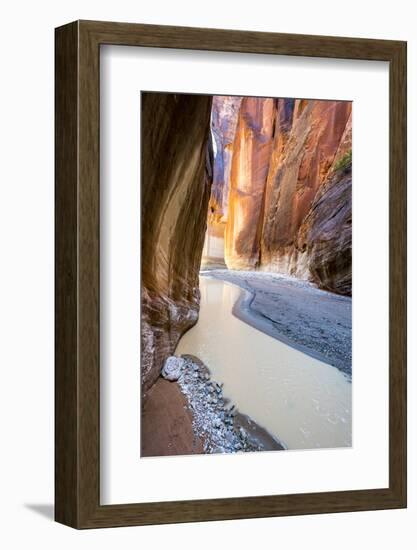 Paria Canyon, Vermillion Cliffs Wilderness, Southern Utah-Howie Garber-Framed Photographic Print