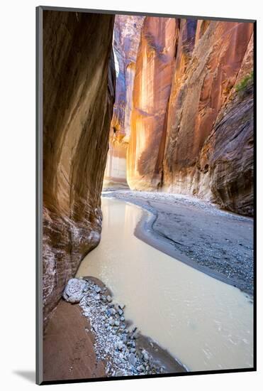 Paria Canyon, Vermillion Cliffs Wilderness, Southern Utah-Howie Garber-Mounted Photographic Print