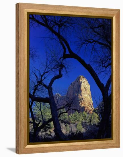 Paria Point, Zion National Park, Utah, USA-Scott T. Smith-Framed Premier Image Canvas