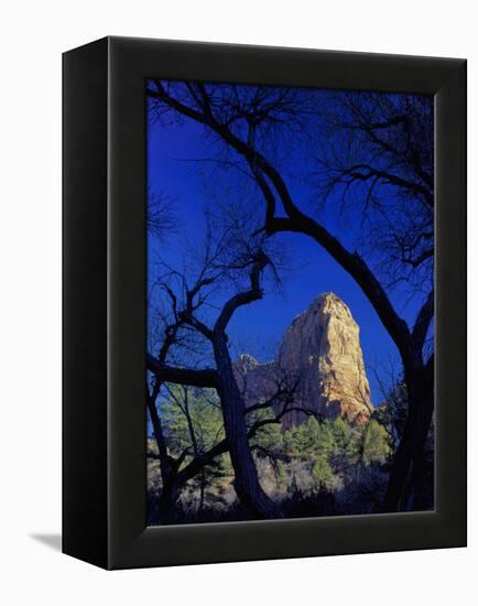 Paria Point, Zion National Park, Utah, USA-Scott T. Smith-Framed Premier Image Canvas