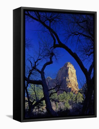 Paria Point, Zion National Park, Utah, USA-Scott T. Smith-Framed Premier Image Canvas