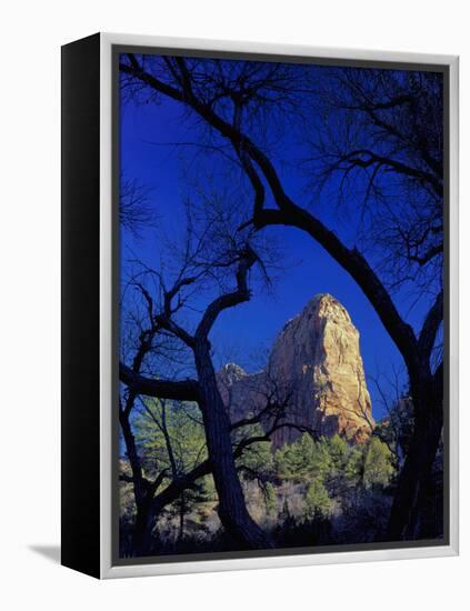 Paria Point, Zion National Park, Utah, USA-Scott T. Smith-Framed Premier Image Canvas