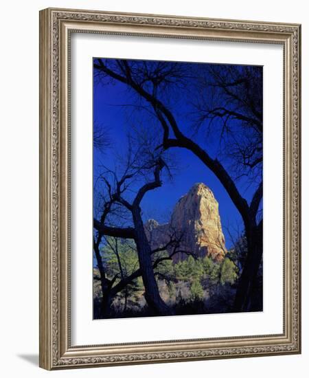 Paria Point, Zion National Park, Utah, USA-Scott T. Smith-Framed Photographic Print