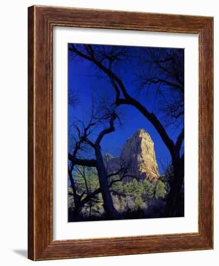 Paria Point, Zion National Park, Utah, USA-Scott T. Smith-Framed Photographic Print
