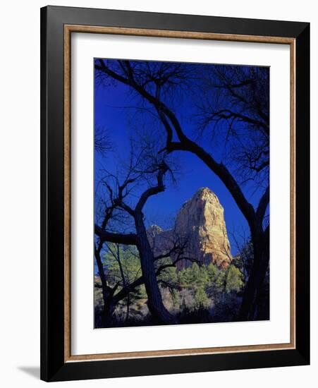 Paria Point, Zion National Park, Utah, USA-Scott T. Smith-Framed Photographic Print