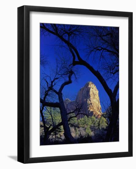 Paria Point, Zion National Park, Utah, USA-Scott T. Smith-Framed Photographic Print