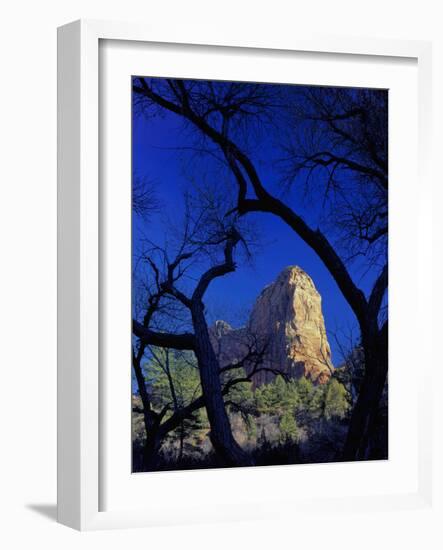 Paria Point, Zion National Park, Utah, USA-Scott T. Smith-Framed Photographic Print