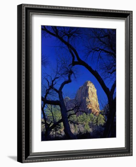 Paria Point, Zion National Park, Utah, USA-Scott T. Smith-Framed Photographic Print