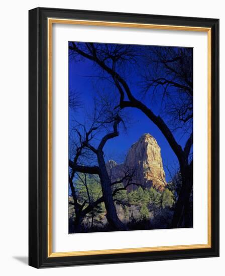 Paria Point, Zion National Park, Utah, USA-Scott T. Smith-Framed Photographic Print