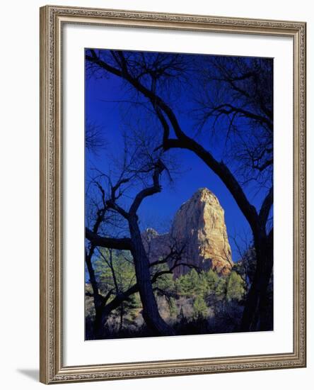 Paria Point, Zion National Park, Utah, USA-Scott T. Smith-Framed Photographic Print