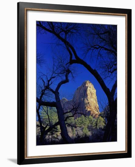 Paria Point, Zion National Park, Utah, USA-Scott T. Smith-Framed Photographic Print