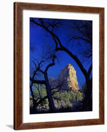 Paria Point, Zion National Park, Utah, USA-Scott T. Smith-Framed Photographic Print