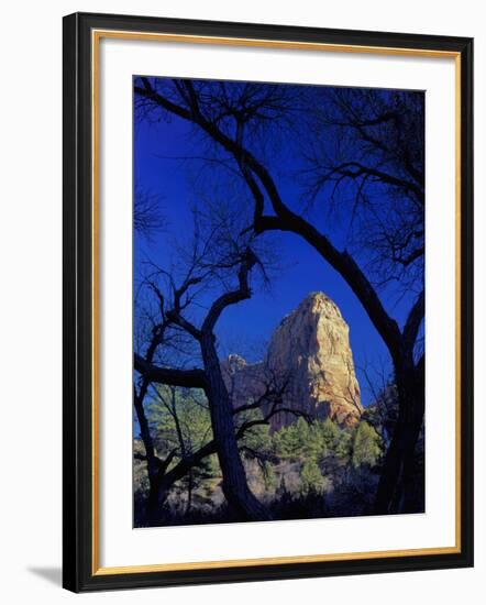 Paria Point, Zion National Park, Utah, USA-Scott T. Smith-Framed Photographic Print