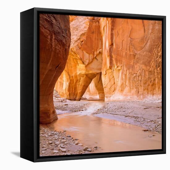 Paria River Flowing under Slide Rock in Narrow Canyon Near Kanab, Utah-John Lambing-Framed Premier Image Canvas