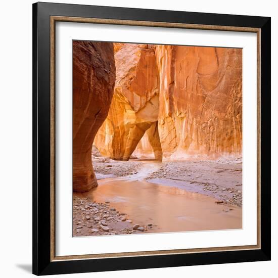 Paria River Flowing under Slide Rock in Narrow Canyon Near Kanab, Utah-John Lambing-Framed Photographic Print