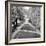 Paris #14-Alan Blaustein-Framed Photographic Print