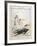 Paris Besieged, 1870-1871-null-Framed Giclee Print
