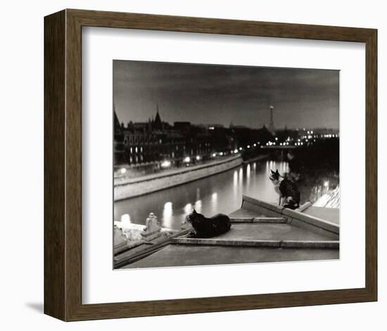 Paris, Cats at Night-Robert Doisneau-Framed Art Print