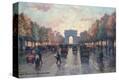 Stretched Canvas Print