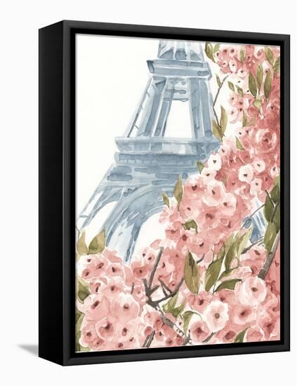 Paris Cherry Blossoms II-Annie Warren-Framed Stretched Canvas