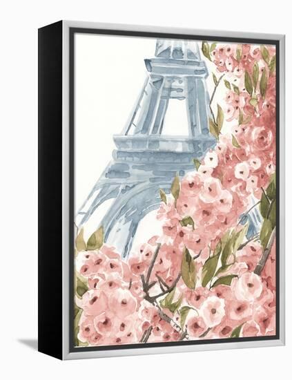 Paris Cherry Blossoms II-Annie Warren-Framed Stretched Canvas