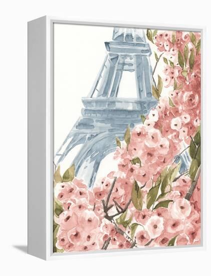 Paris Cherry Blossoms II-Annie Warren-Framed Stretched Canvas