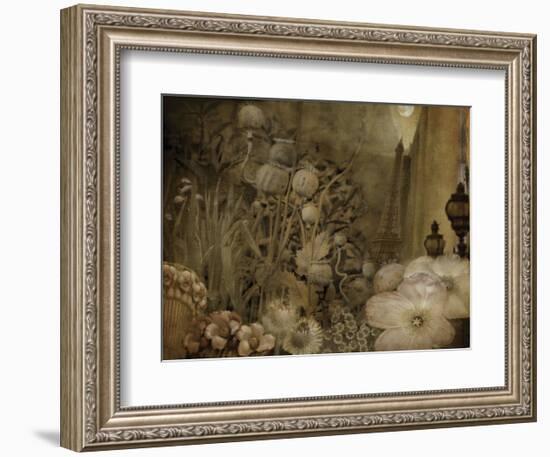 Paris-City of Flowers-Dawne Polis-Framed Art Print