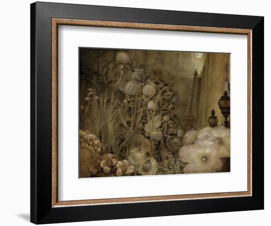 Paris-City of Flowers-Dawne Polis-Framed Art Print