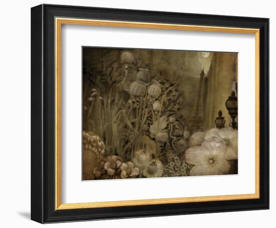 Paris-City of Flowers-Dawne Polis-Framed Art Print